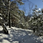 Sníh, slunce a neskutečné ticho. Beskydy leden 2016